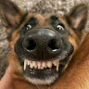 Meet your Posher, Alayna